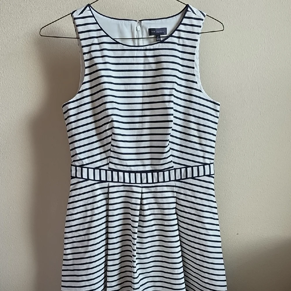 The Limited Black & White Striped Fit & Flare Sleeveless Dress Womens Size 10 - Picture 4 of 7